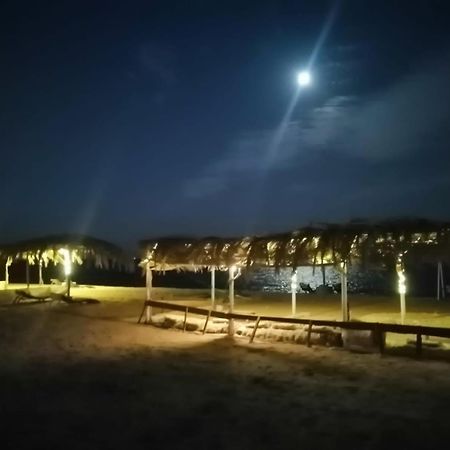 ホテル Nuweiba Oasis エクステリア 写真