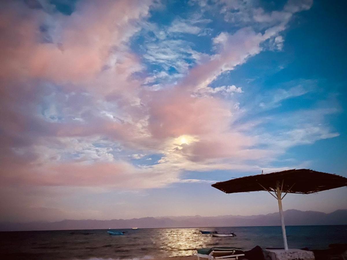 ホテル Nuweiba Oasis エクステリア 写真