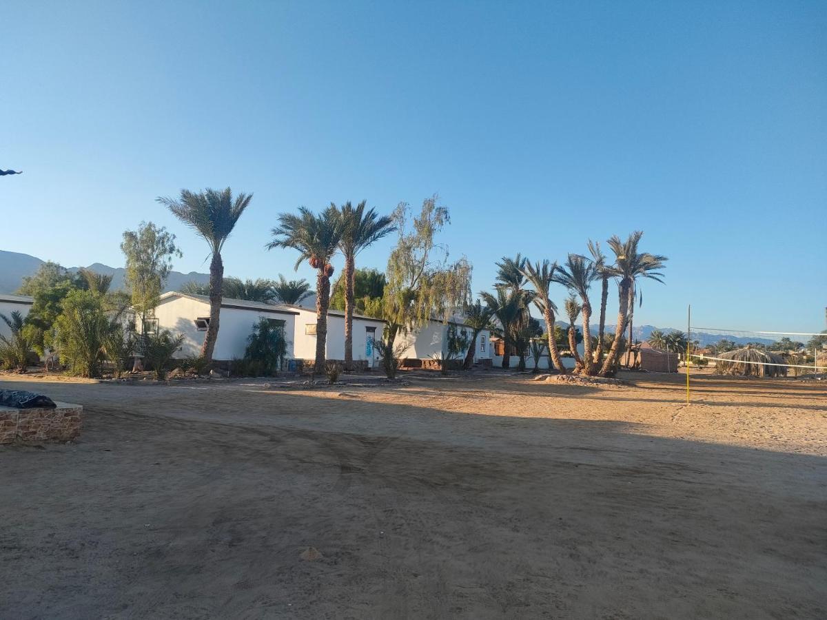 ホテル Nuweiba Oasis エクステリア 写真