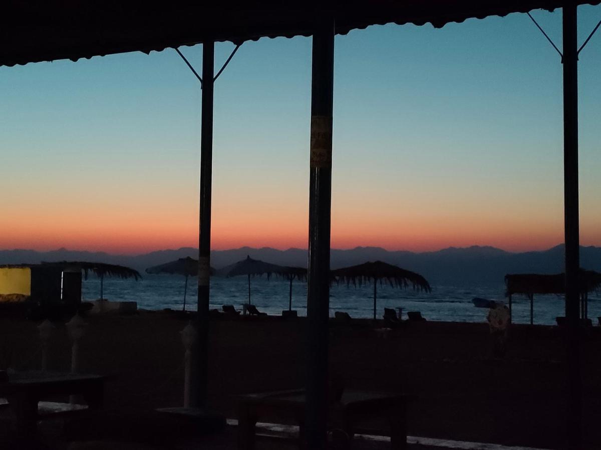 ホテル Nuweiba Oasis エクステリア 写真