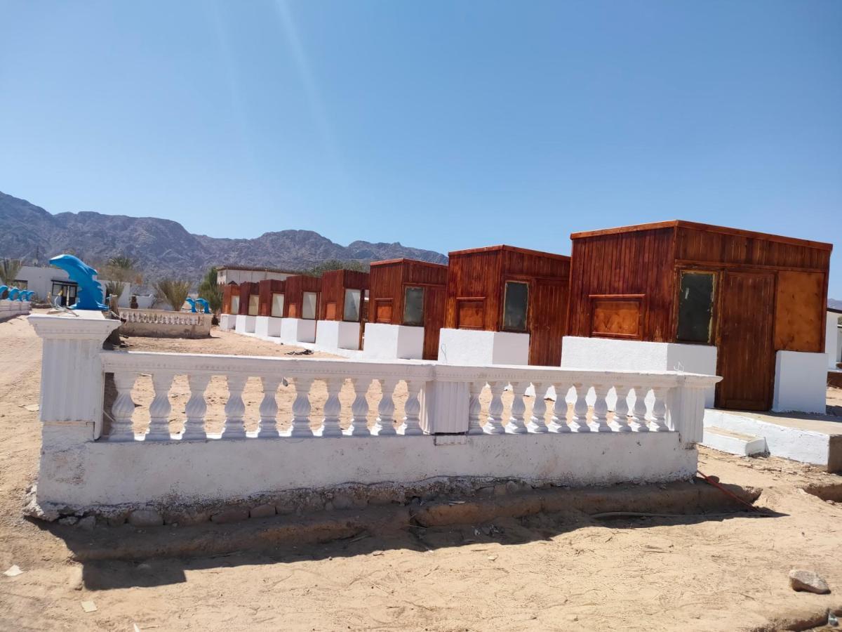 ホテル Nuweiba Oasis 部屋 写真