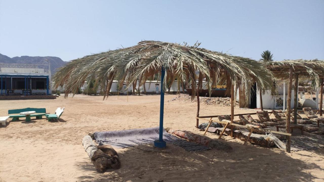 ホテル Nuweiba Oasis エクステリア 写真