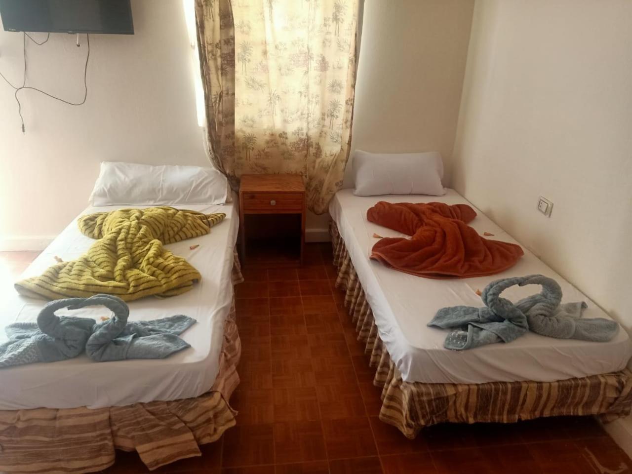 ホテル Nuweiba Oasis 部屋 写真