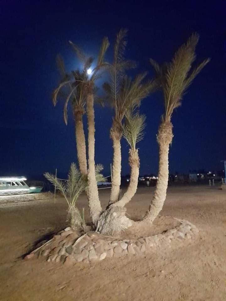 ホテル Nuweiba Oasis エクステリア 写真