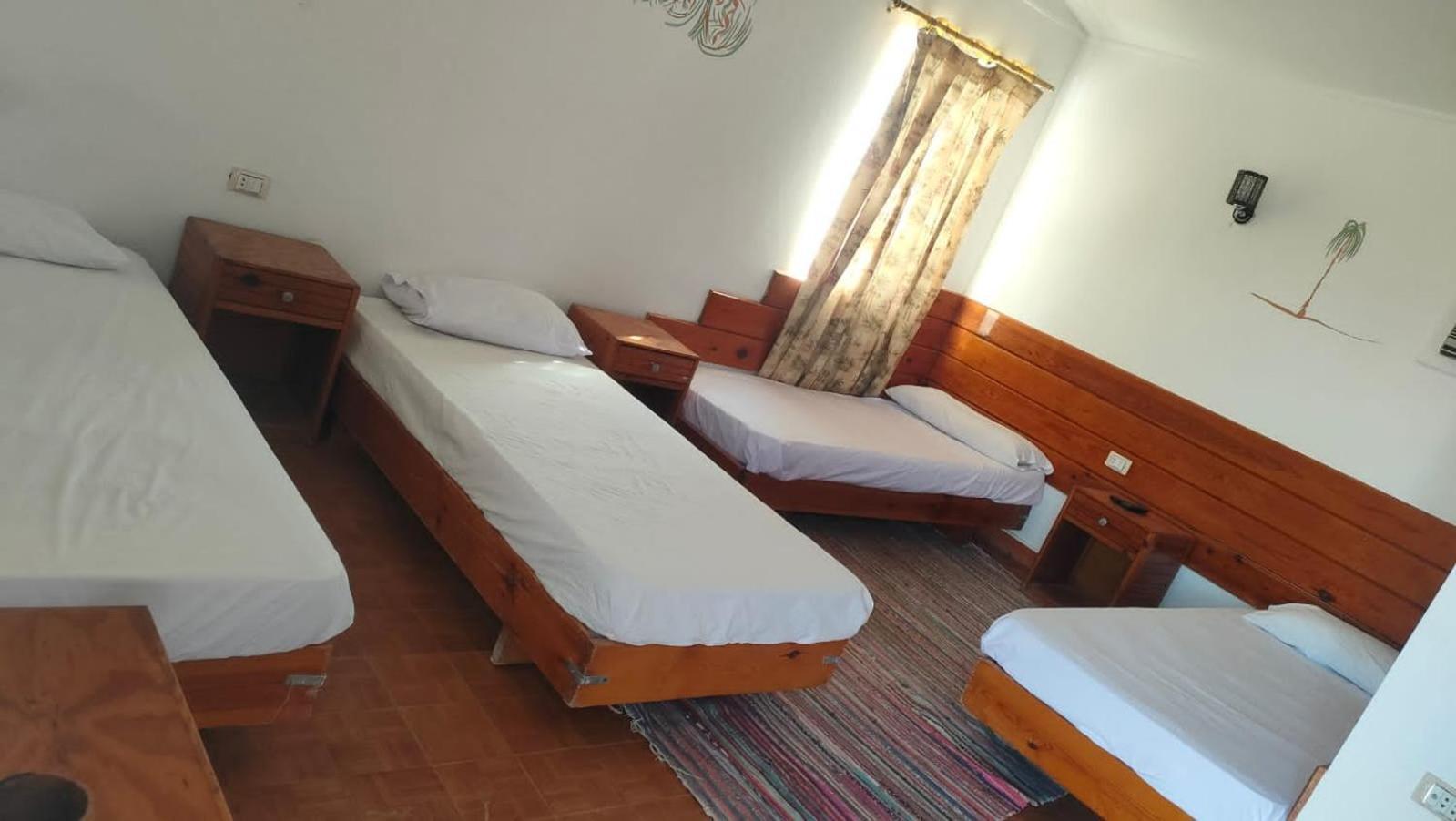 ホテル Nuweiba Oasis 部屋 写真